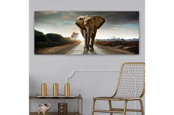 Canvastavla YTY Animals Flerfärgad - 120x50 cm - Products - Inredning - Tavlor & posters - Canvastavla