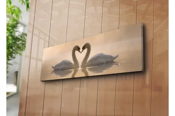 Stor Canvastavla 90x30 cm - Två svanar som formar ett hjärta med sina halsar - Vit / Beige - Products - Inredning - Tavlor & posters - Canvastavla