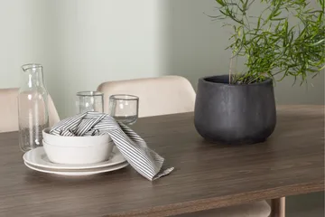 Andy Matgrupp 180 cm Oval med 4 Night Stolar - Natur - Products - Möbler - Bord & matgrupp - Matgrupp