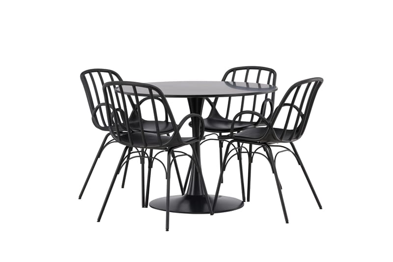Glade Matgrupp 100 cm Rund med 4 Dyrön stolar - Svart - Products - Möbler - Bord & matgrupp - Matgrupp