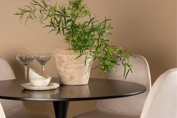 Glade Matgrupp 100 cm Rund med 4 Polar stolar - Beige - Products - Möbler - Bord & matgrupp - Matgrupp