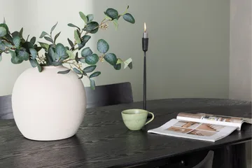 Isolde Matgrupp 180 cm Oval med 4 Montros stolar - Svart - Products - Möbler - Bord & matgrupp - Matgrupp