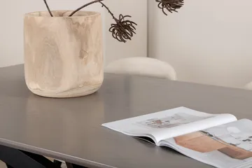 Piazza Matgrupp 180 cm Rektangulär med 6 Velvet stolar - Beige - Products - Möbler - Bord & matgrupp - Matgrupp