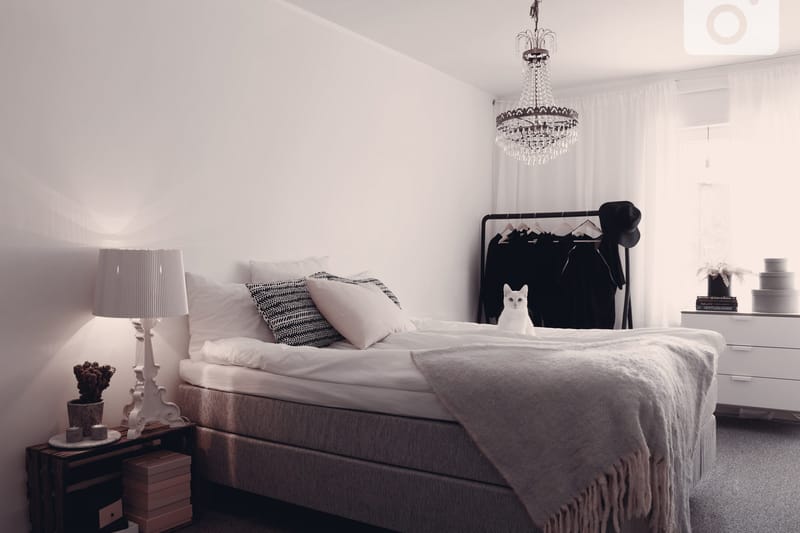 Charleston Kontinentalsäng 160x200 Fast Polyeterskum - Ljusgrå - Products - Möbler - Säng - Kontinentalsäng