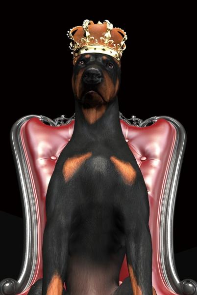 Glastavla - Dog in crown - 80x120 cm