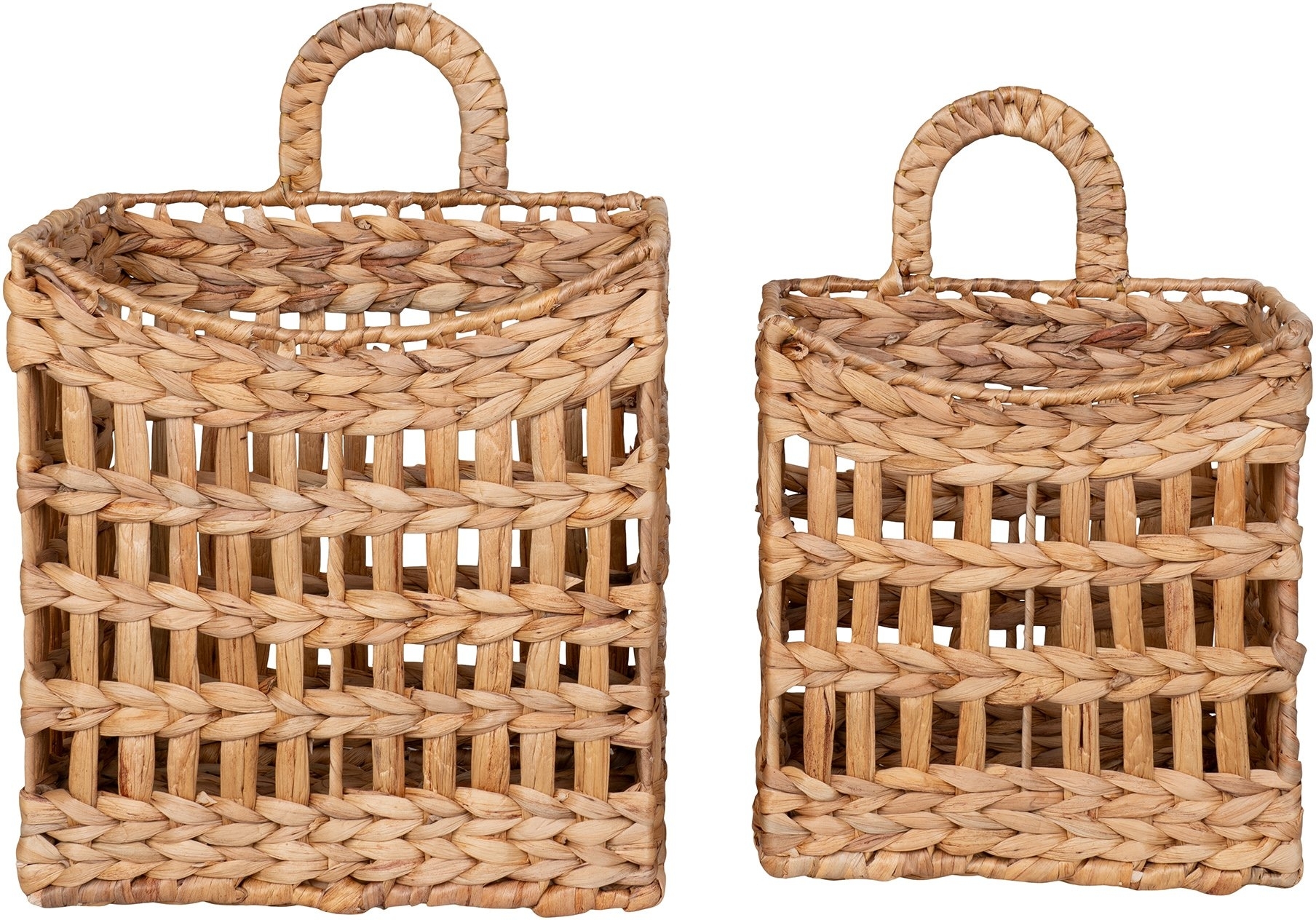 Cala mand - Waterhyacint