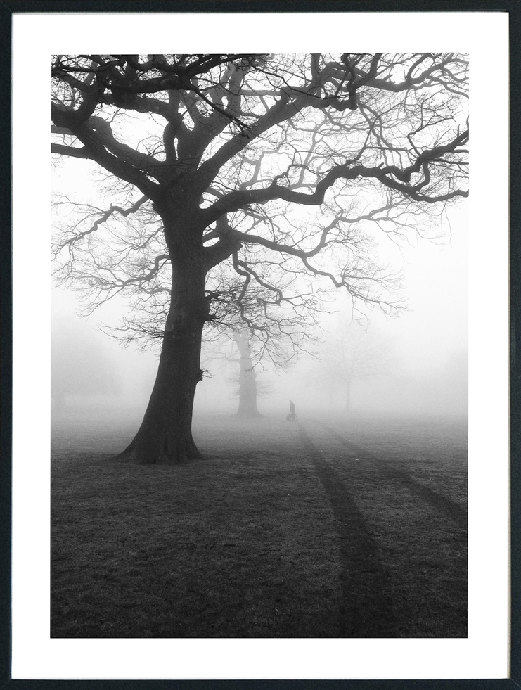 Posterworld - Motiv Dark Tree - 70 x 100 cm