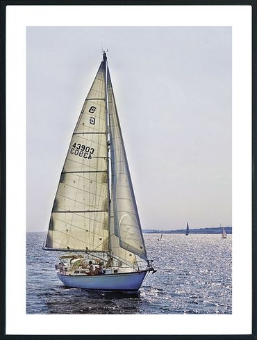 Posterworld - Motiv Sailing - 70x100 cm Posterworld - Motiv Sailing - 70x100 cm