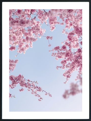 Posterworld - Motiv Flower in the sky - 70x100 cm