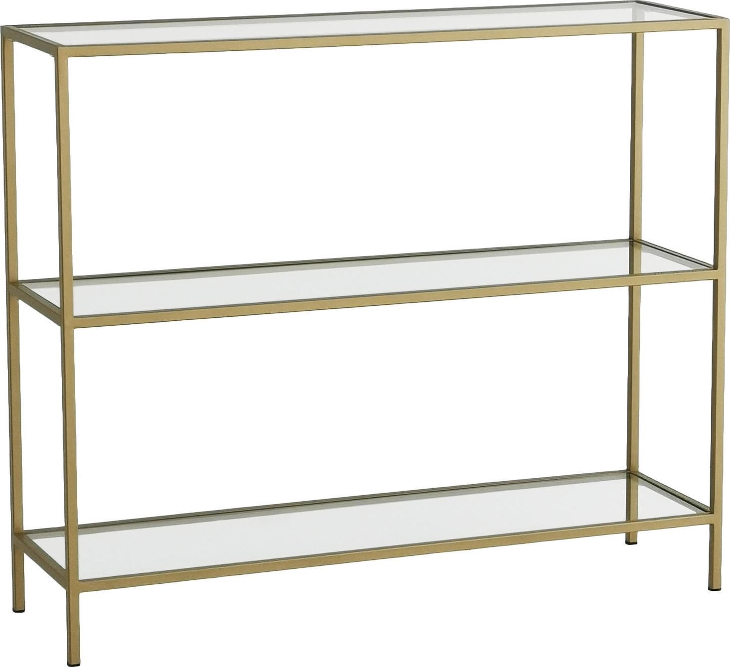 Dino reli�ftafel 100 x 30 cm - Goud