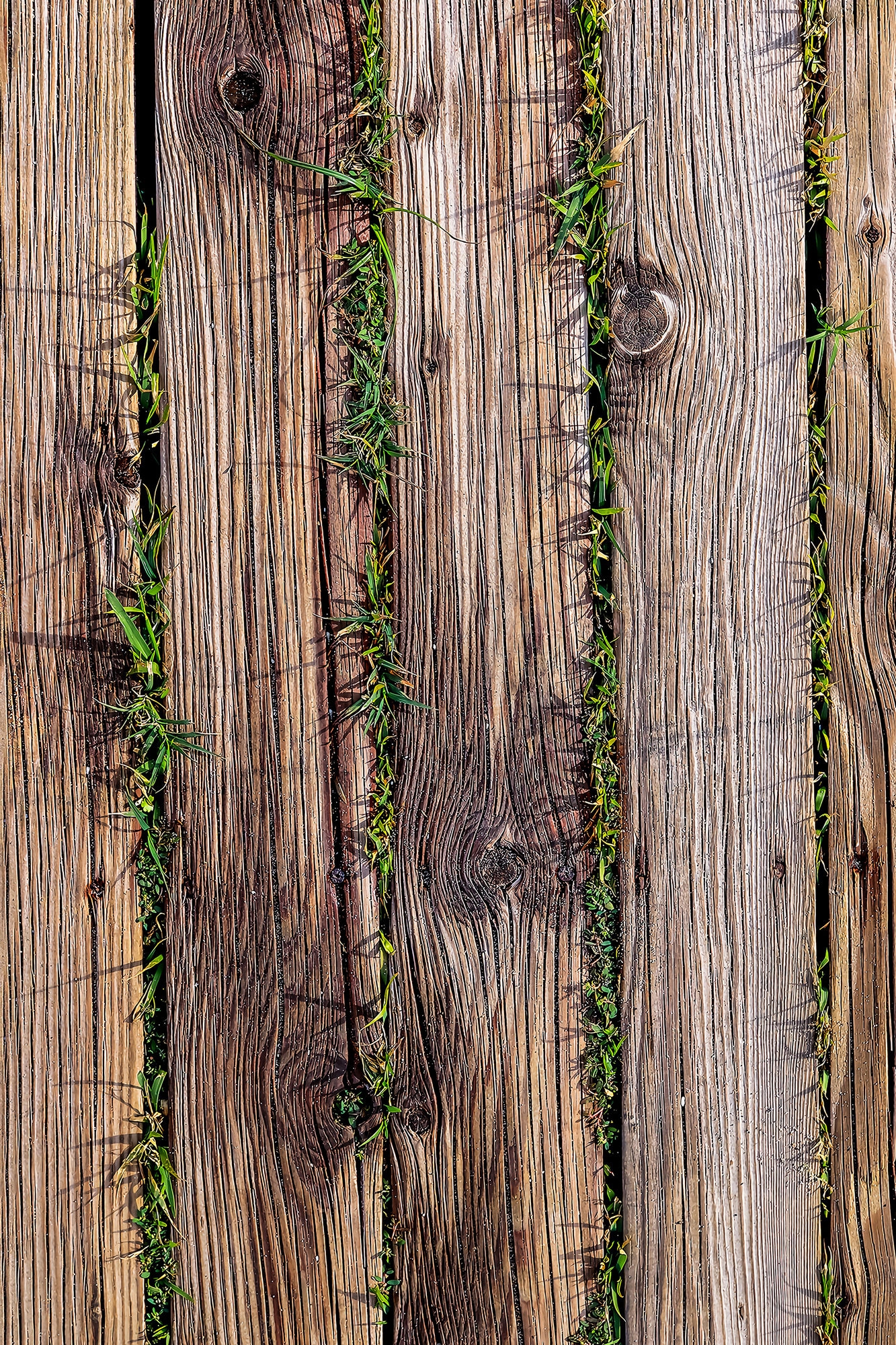 Cozin 221 matta Flerfärgad - 60 x 100 cm Cozin 221 matta Flerfärgad - 60 x 100 cm