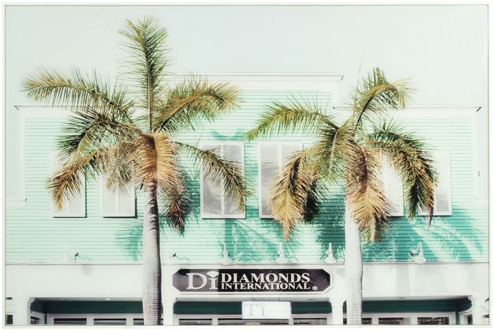 Glastavla - Palmer - 80x120 cm Glastavla - Palmer - 80x120 cm