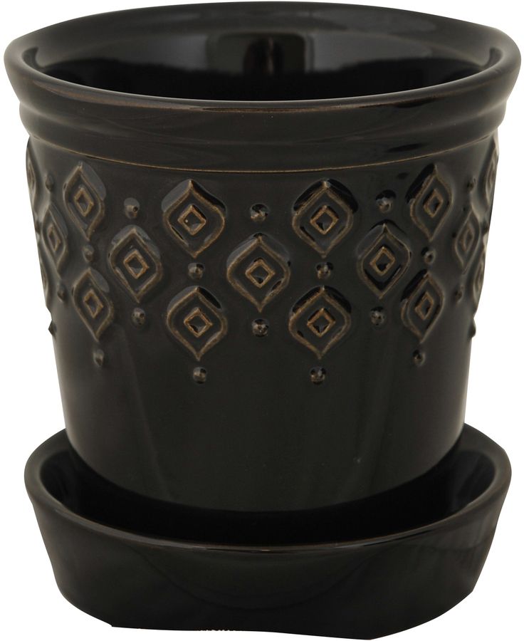 Blomkruka med svart svart