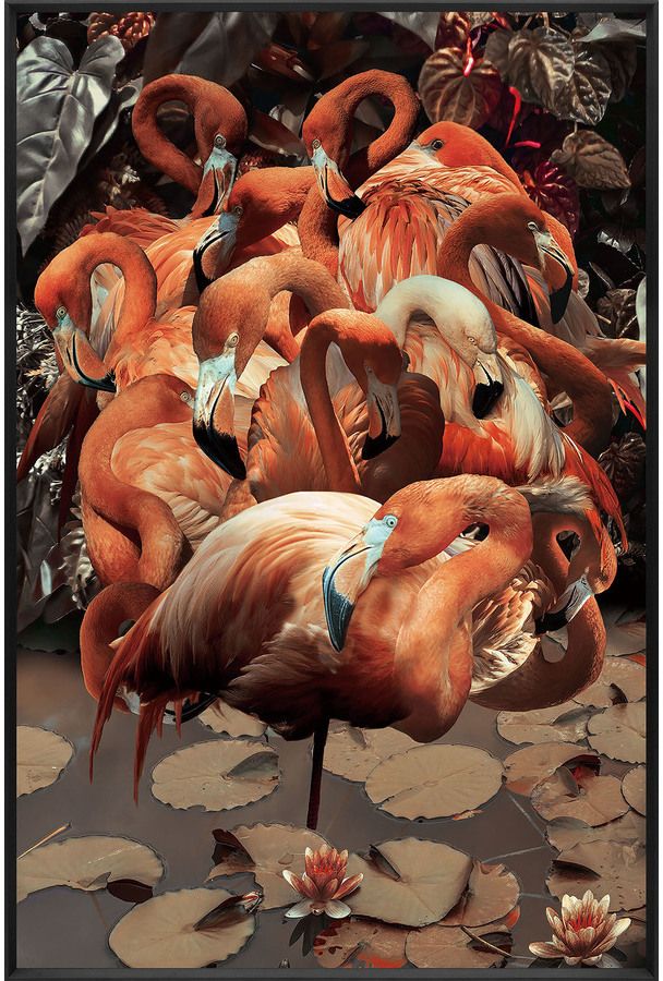 Glasschilderij - Flamingo - 80x120 cm