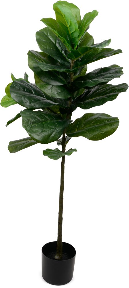 Konstv�xt - Fiolficus 128 cm
