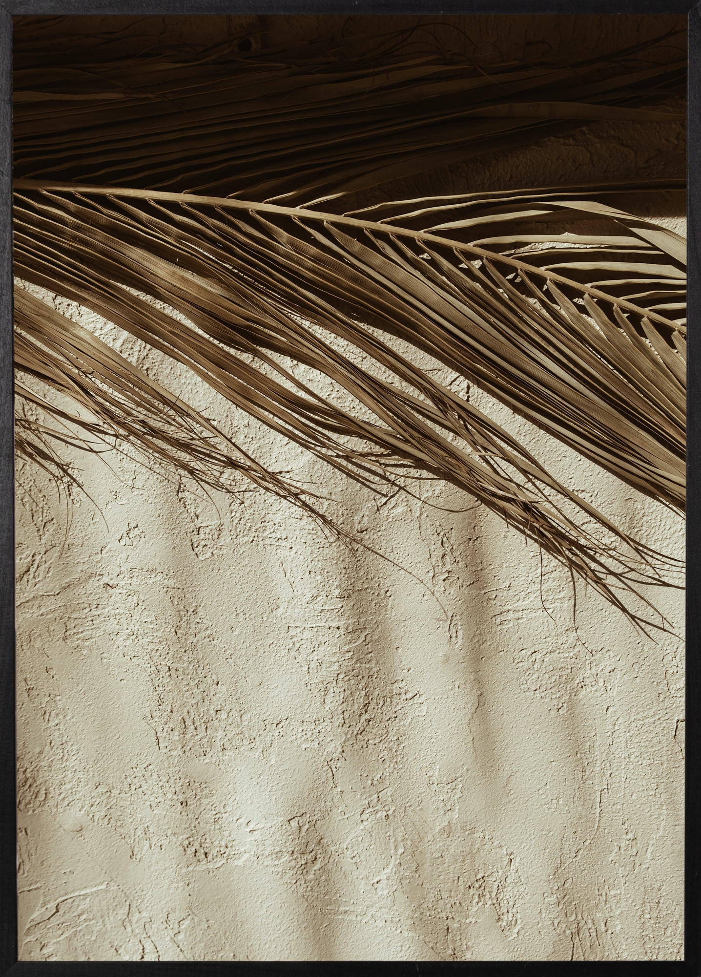 Poster - Desert Poster - Desert