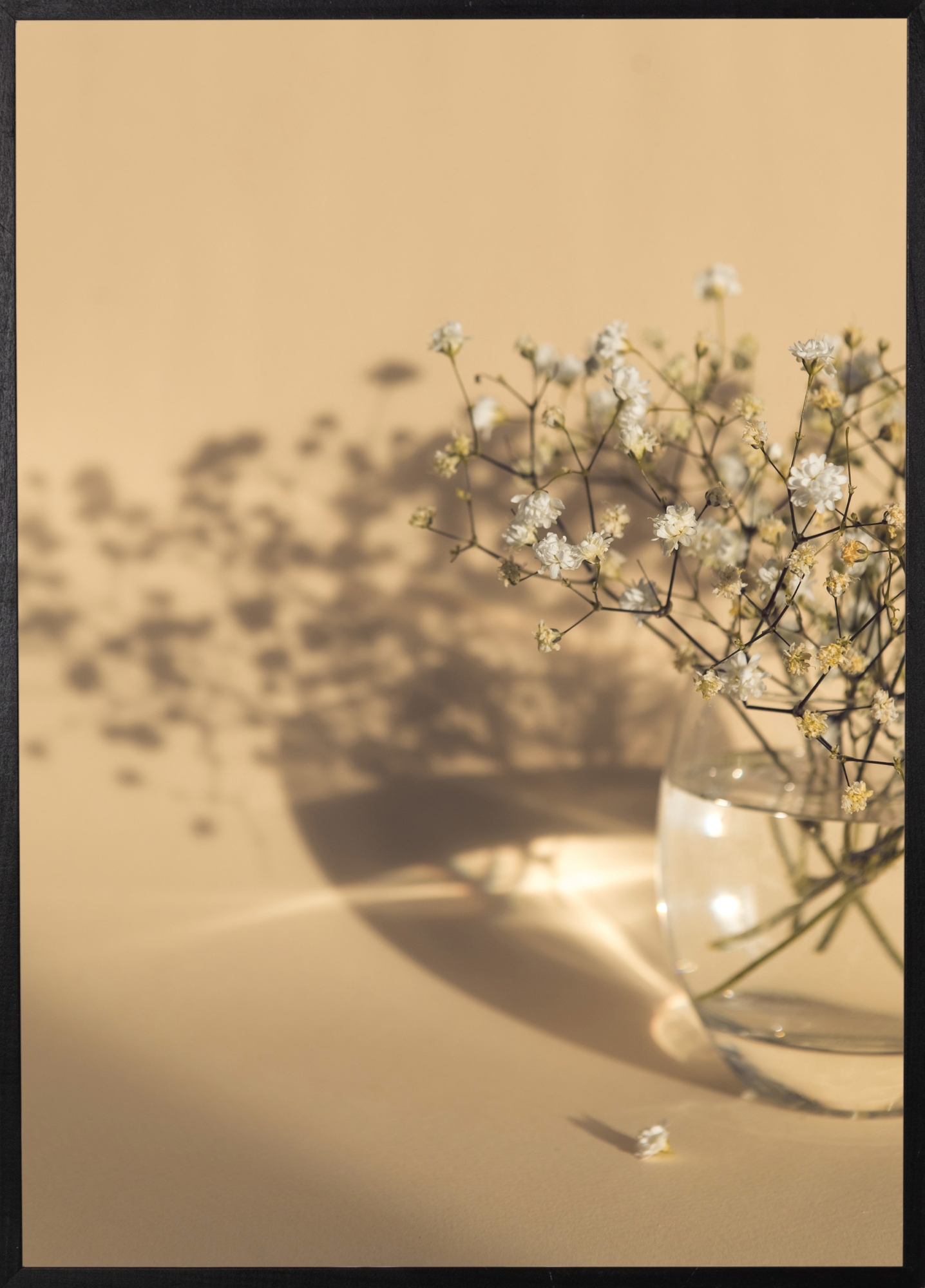 Poster - White flowers