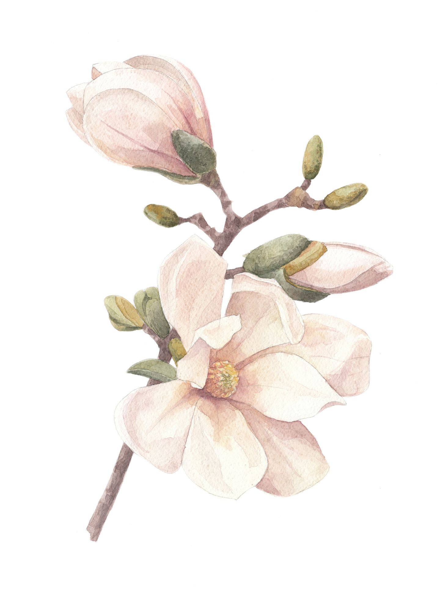 Poster - Hand made Poster - Hand made