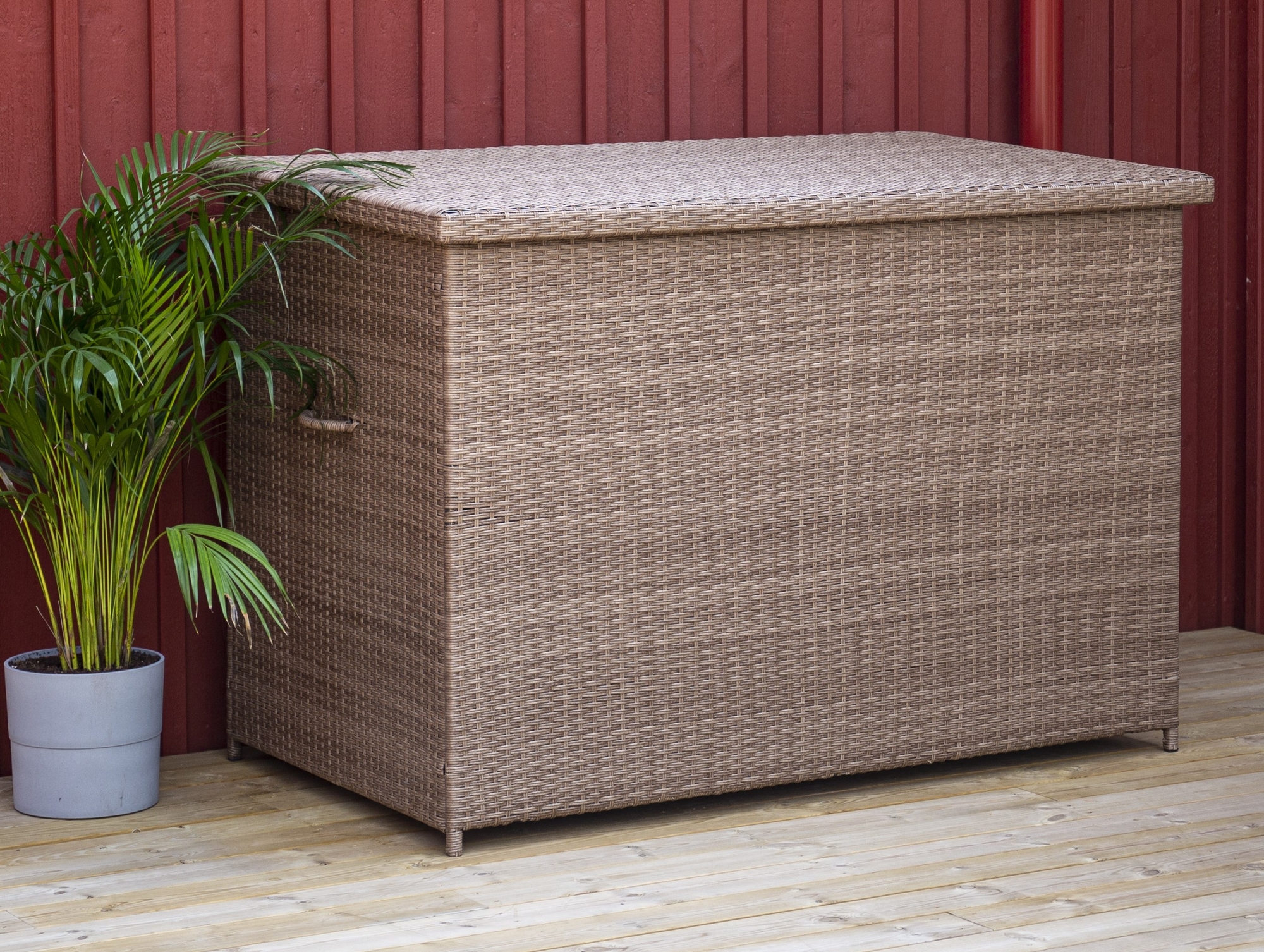 Amazon dynbox - Rotting