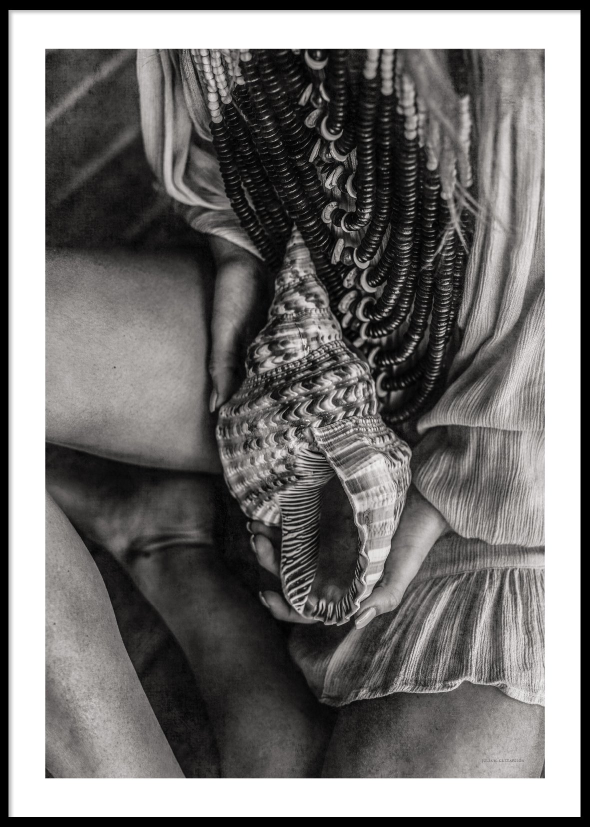 SEASHELL - Poster 50x70 cm