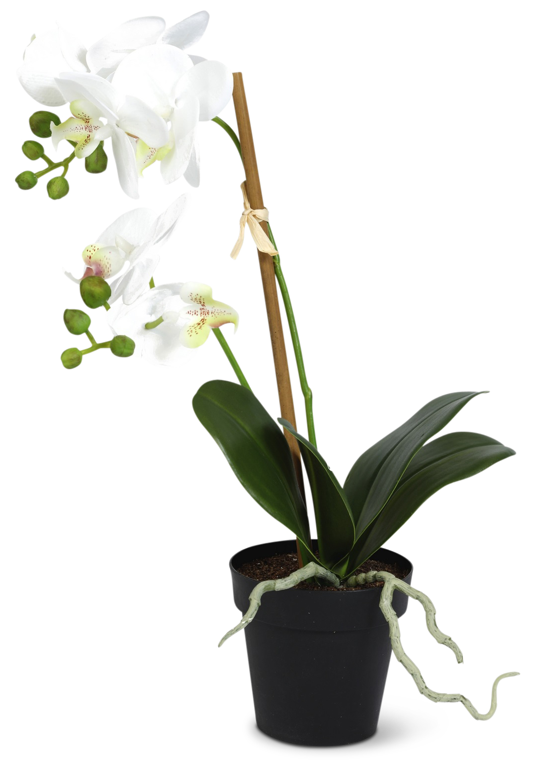 Konstväxt - Orkidè H60 cm Konstväxt - Orkidè H60 cm