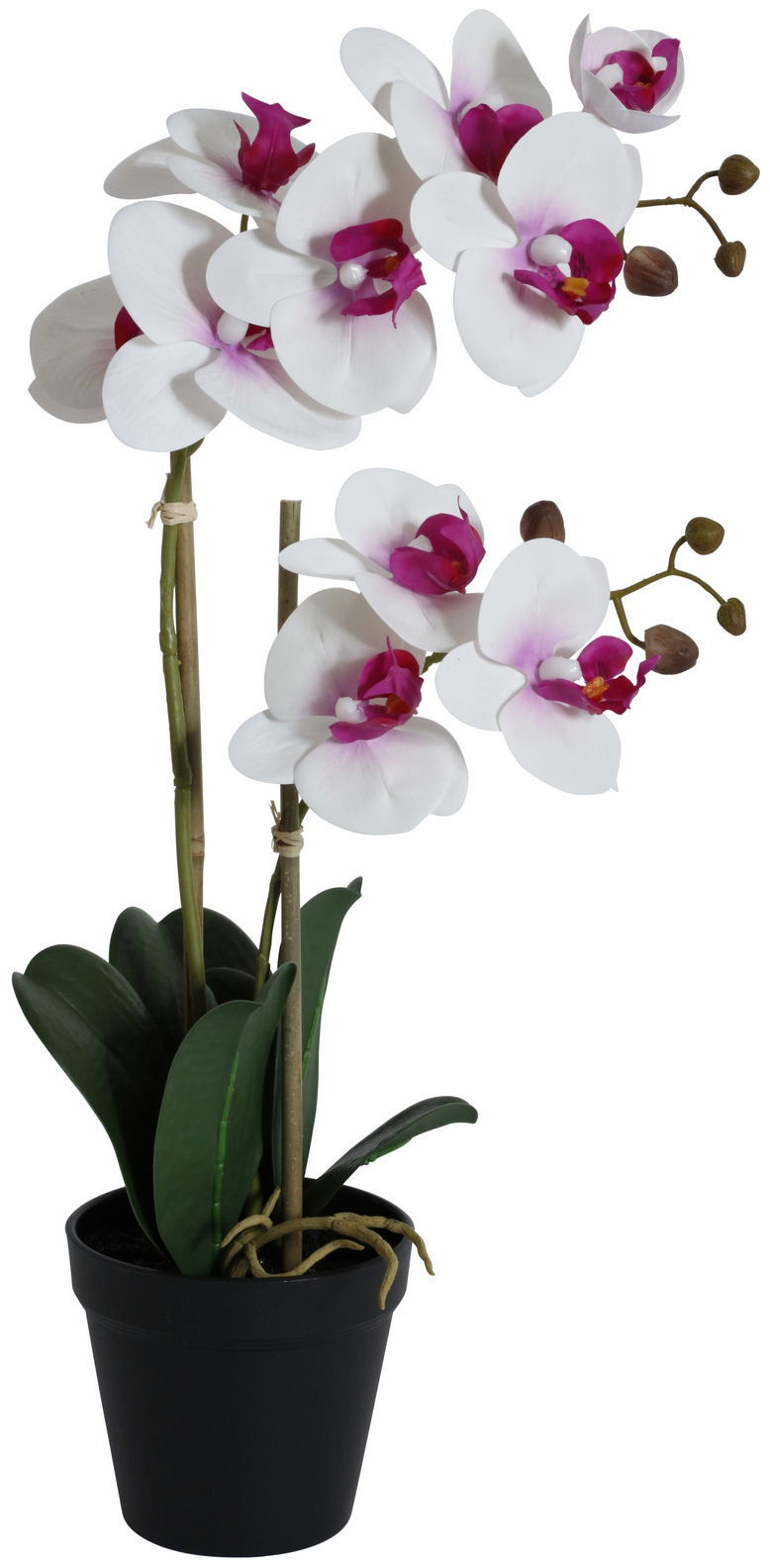 Konstväxt - Orkidé 2 stänglad H54 cm - Vit/Rosa Konstväxt - Orkidé 2 stänglad H54 cm - Vit/Rosa