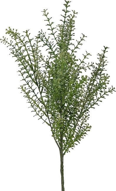 Thlapsi konstblomma Thlapsi konstblomma