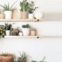 Lamba wandplank 8 - Zwart/eiken