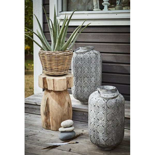 Riviera kruka - Rotting Riviera kruka - Rotting