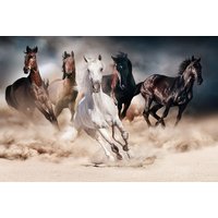 Glastavla Horses - 120x80 cm Glastavla Horses - 120x80 cm