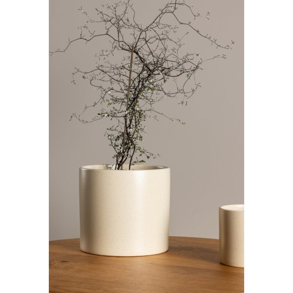 Pot Sane 18 x 17 cm - Beige/Noir Pot Sane 18 x 17 cm - Beige/Noir