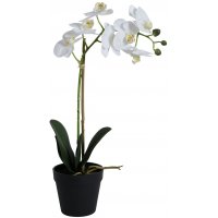 Konstväxt - Orkidé 1 stänglad H48 cm - Vit Konstväxt - Orkidé 1 stänglad H48 cm - Vit