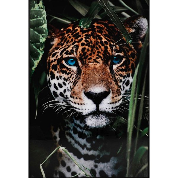 Glastavla - Blue eyes leo - 80x120 cm