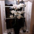 Kundbild Konstv�xt - Orkid� 9 st�nglad H90 cm - Vit: J�ttefin och naturtrogen....