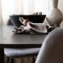 Table  manger Bronx 120 cm - Marron fonc