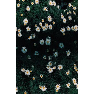 Tapis Cozin 187 Multicolore - 60 x 100 cm