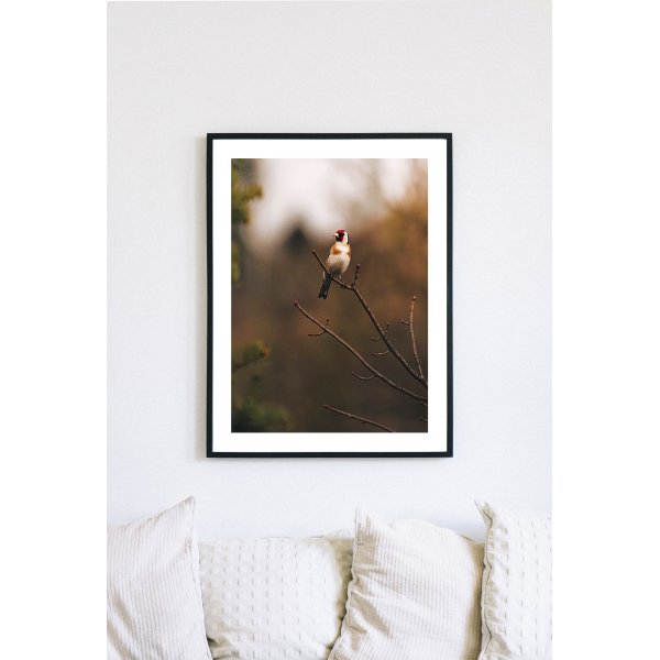 Posterworld - Motiv Bird - 50 x 70 cm Posterworld - Motiv Bird - 50 x 70 cm