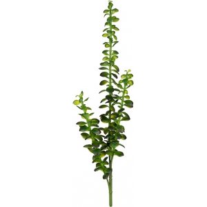 Succulent konstväxt Succulent konstväxt