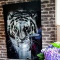 Kundbild Glastavla Tiger - 120x80 cm: J�ttefin tavla, mycket n�jd