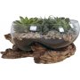 San Marino Vattendroppe vas - Teak/glas - 26