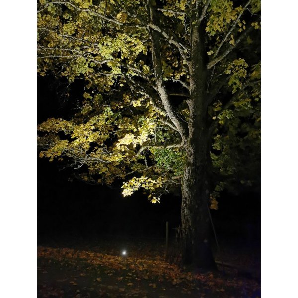 Spot de sol arrière - Noir Spot de sol arrière - Noir