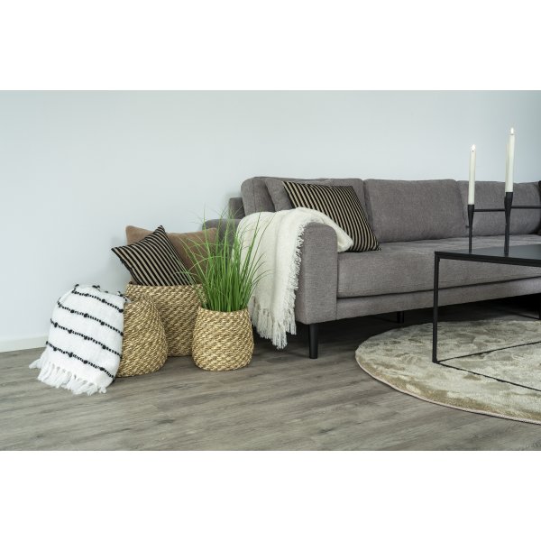 Venoso mandenset - rond