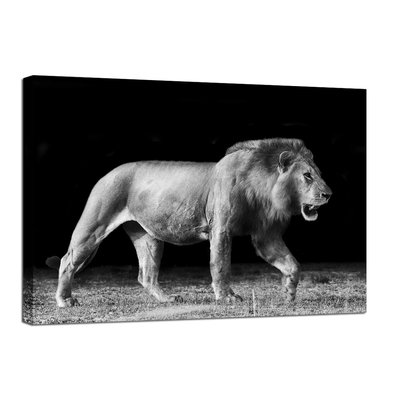 Canvastavla Walking Lion - 100x75 cm