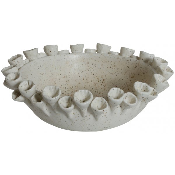 Caleta blomfat - Beige