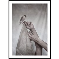 A BIRD AND TWO HANDS - Poster 50x70 cm A BIRD AND TWO HANDS - Poster 50x70 cm
