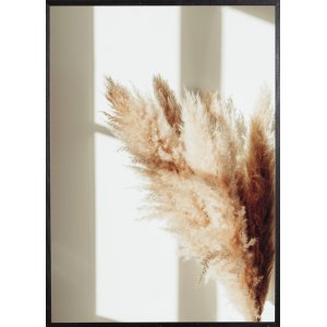 Poster - Pampas - 21x30 cm