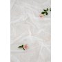 Bellis gardin - Vit
