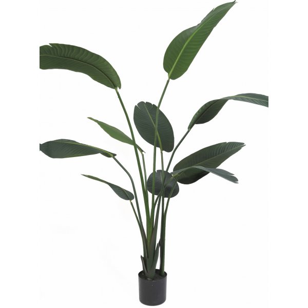 Konstvxt - Papegojblomma H110 cm