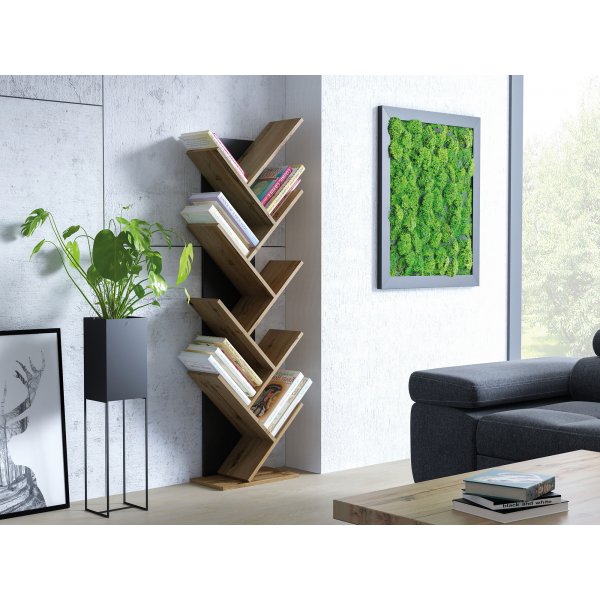 Bibliothèque Noel - Chêne Wotan/noir Bibliothèque Noel - Chêne Wotan/noir