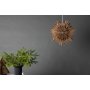 Slen adventsstjrna 46 cm - Brun